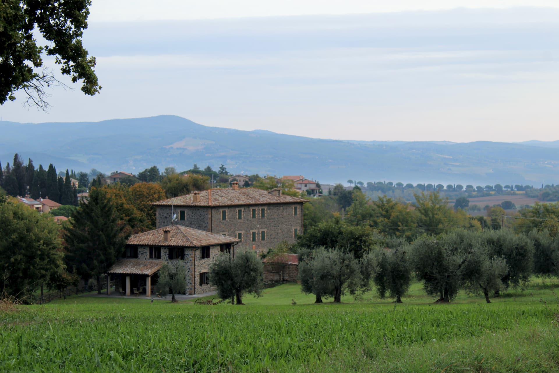 open field leading to two stone buildings and olive trees. Valley visible in the background.