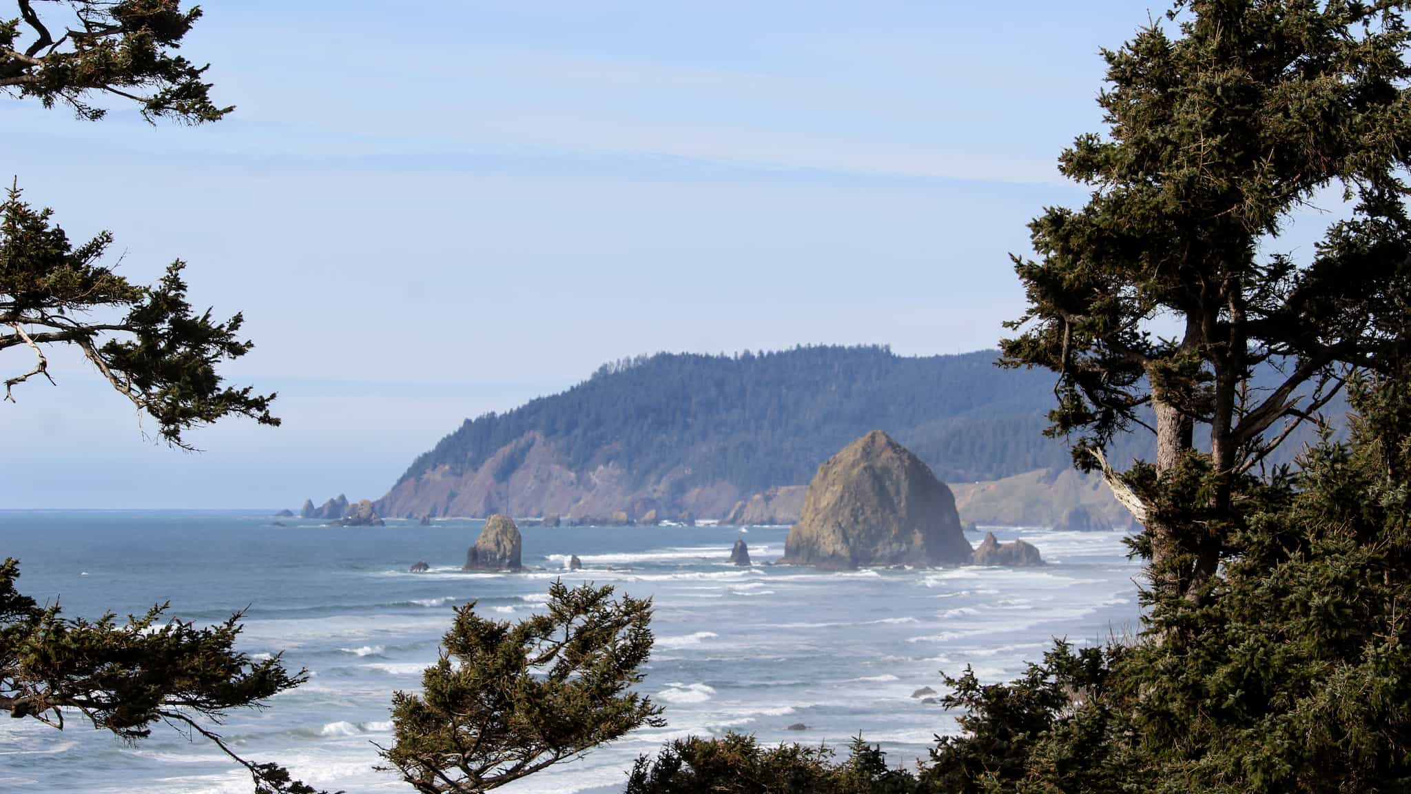 looking out through trees at an ocean cove with large rocks towering up from the water.