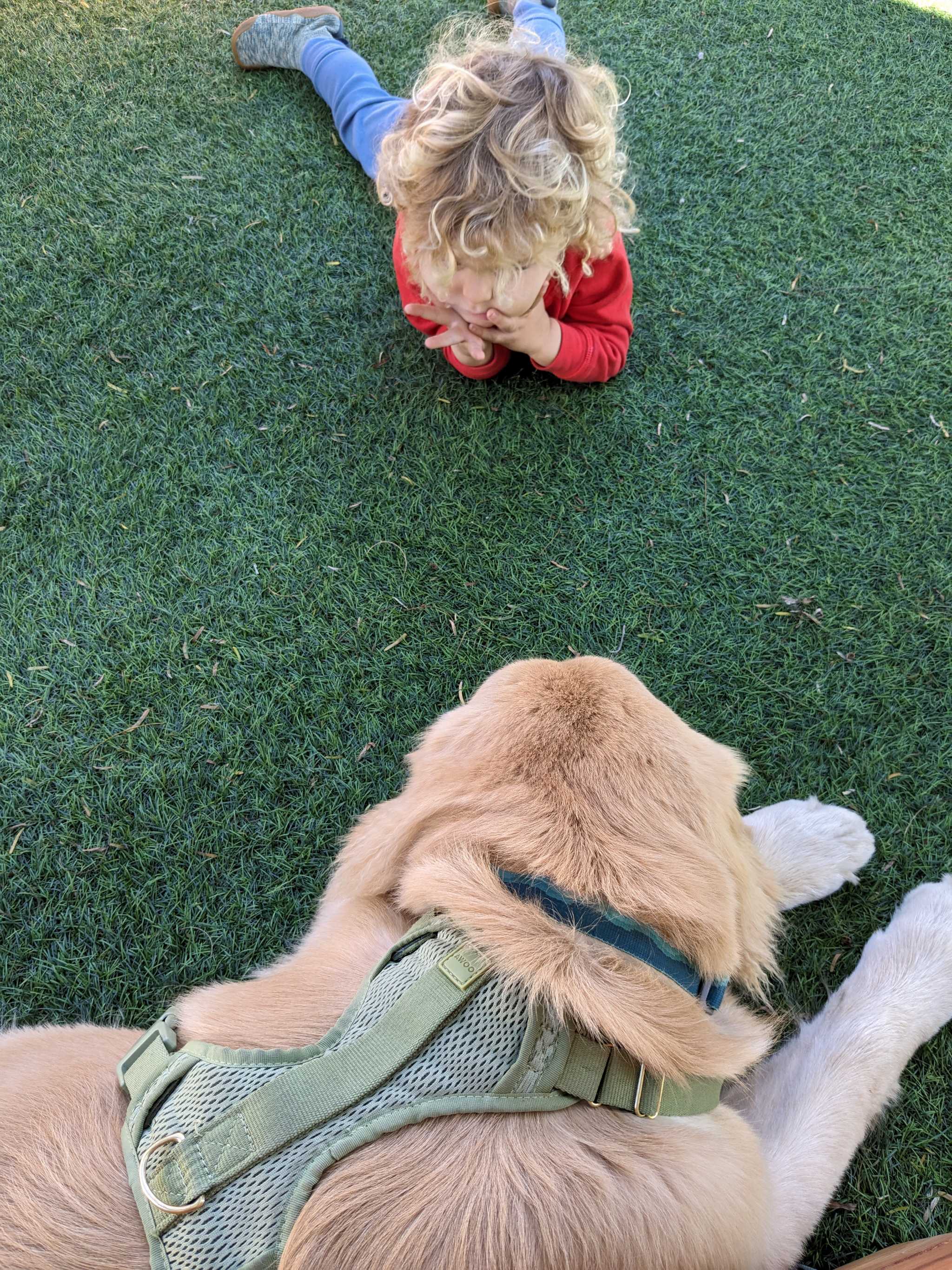 A dog and boy lay on the ground looking at each other.