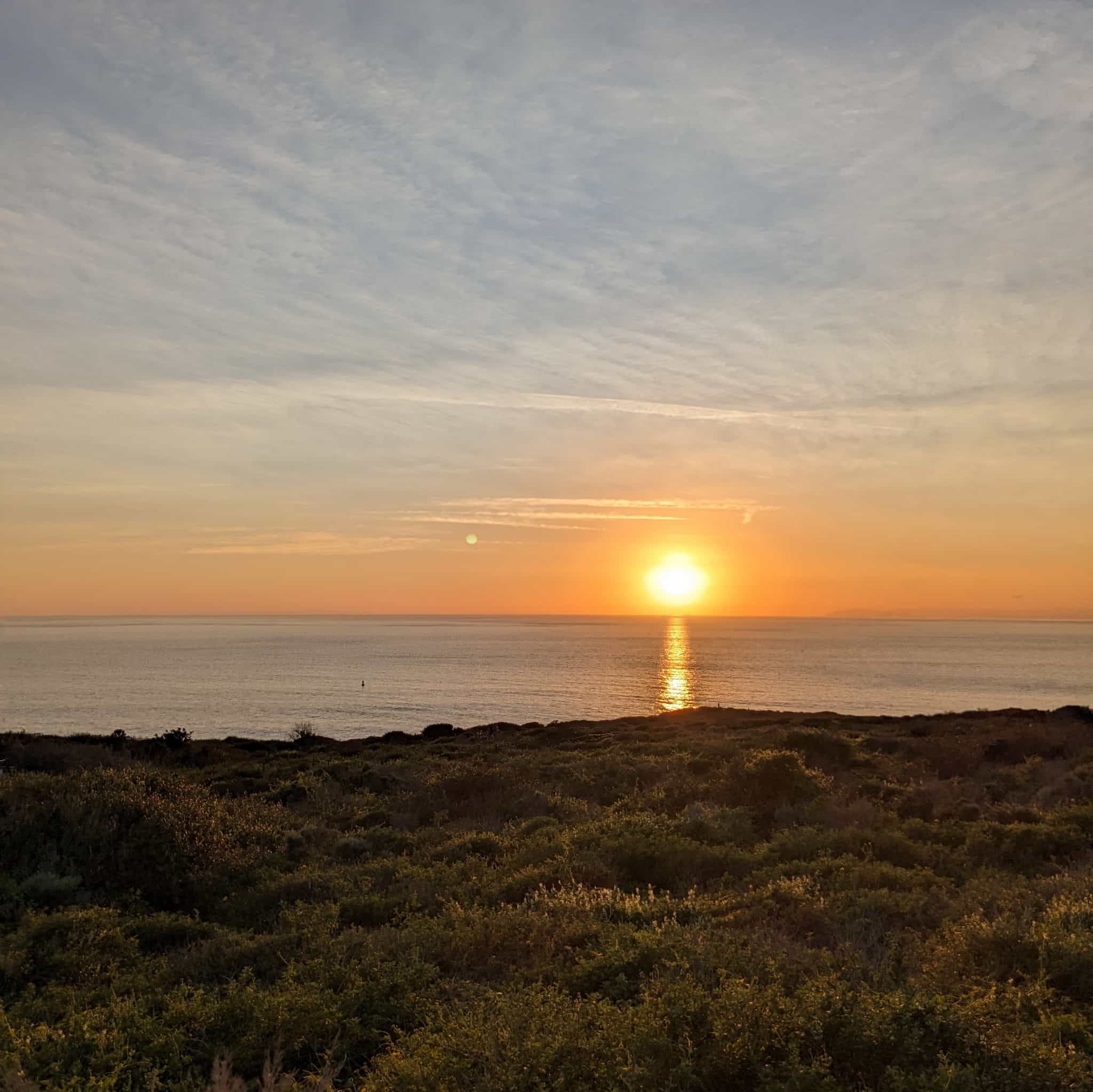 Ocean sunset with scrub landscaping in foreground and the outline of an island on the horizon.