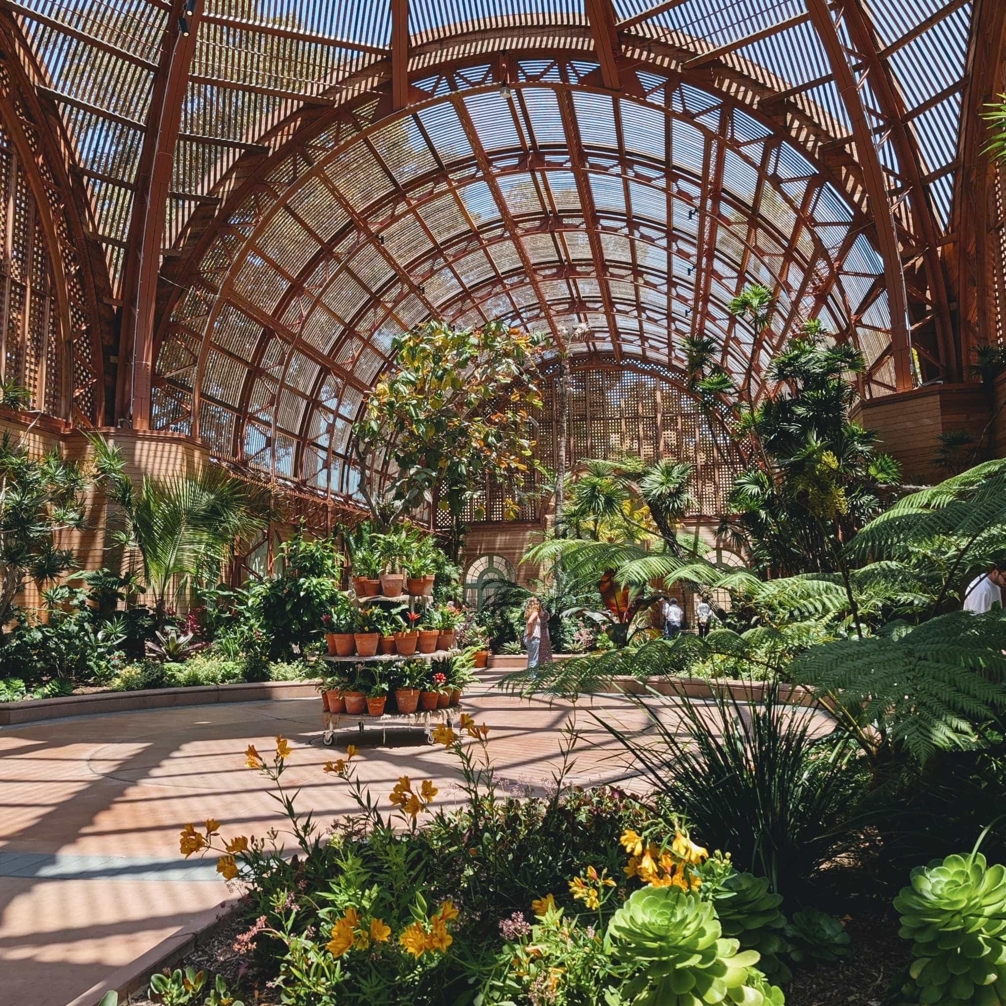 Interior of large arched shade structure with a concrete path between large planters of tropical plants. The center of the path has a vertical display of potted plants.