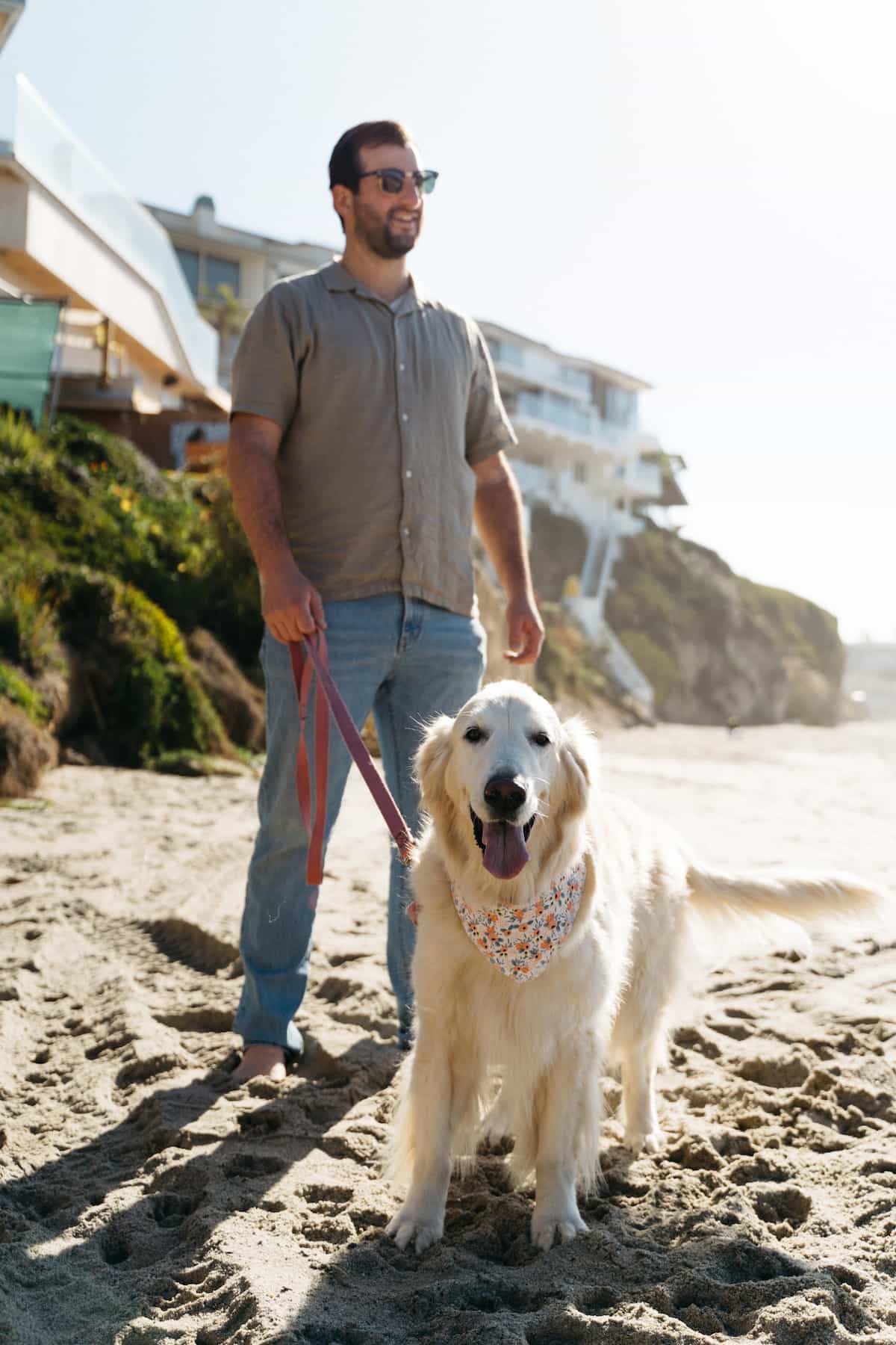 A dog on a cliff-lined beach looking at the camera while a man holds the leash and looks out towards the water.