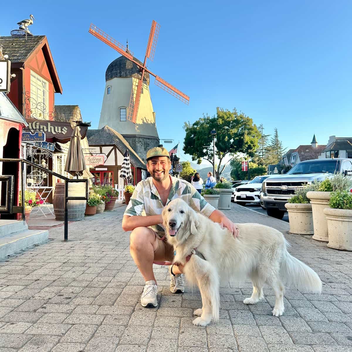 A man kneels down next to a dog in front of a dutch-style town with a windmill