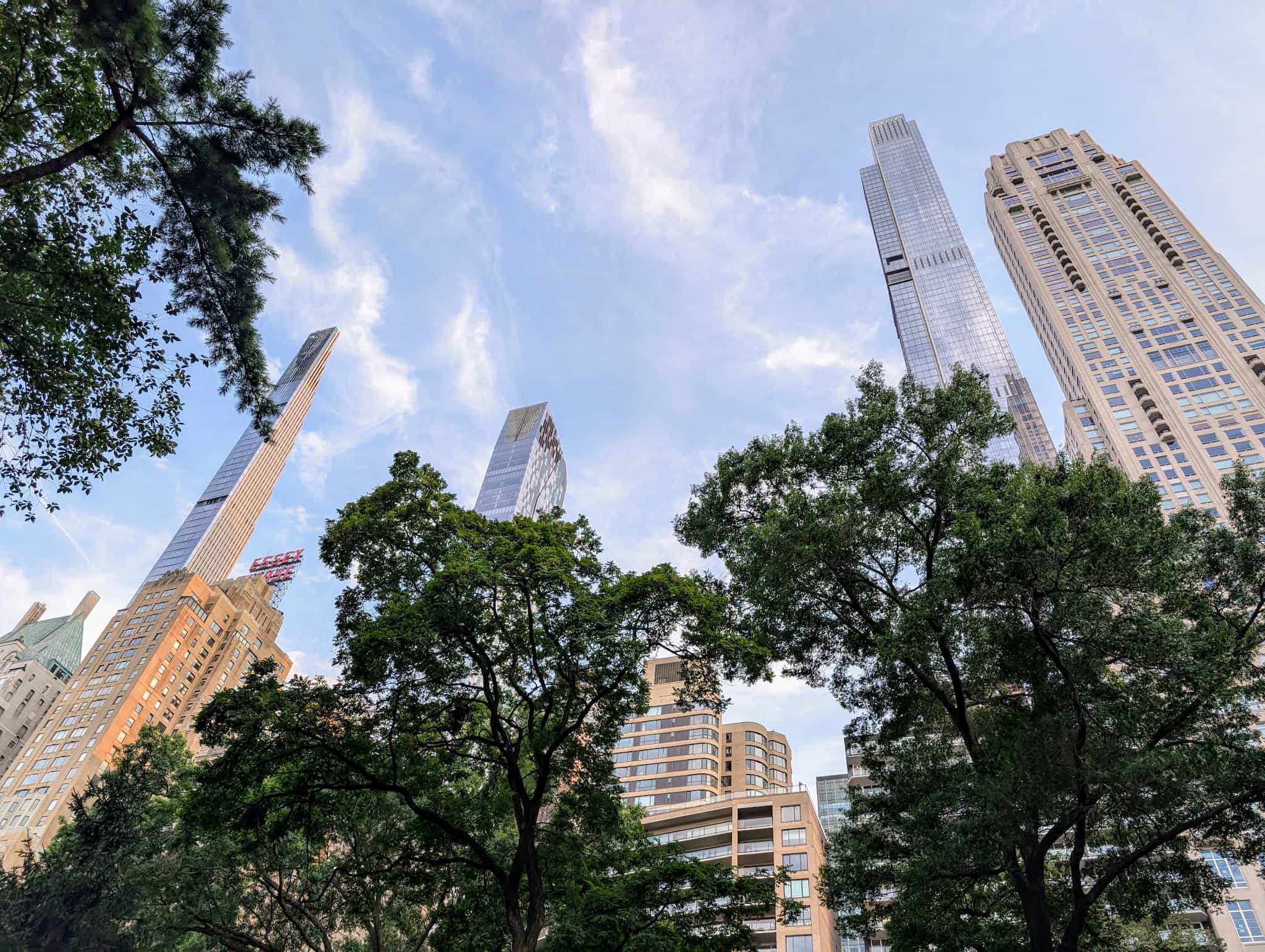 Looking up at tall, thin sky scrapers from the trees of Central Park.