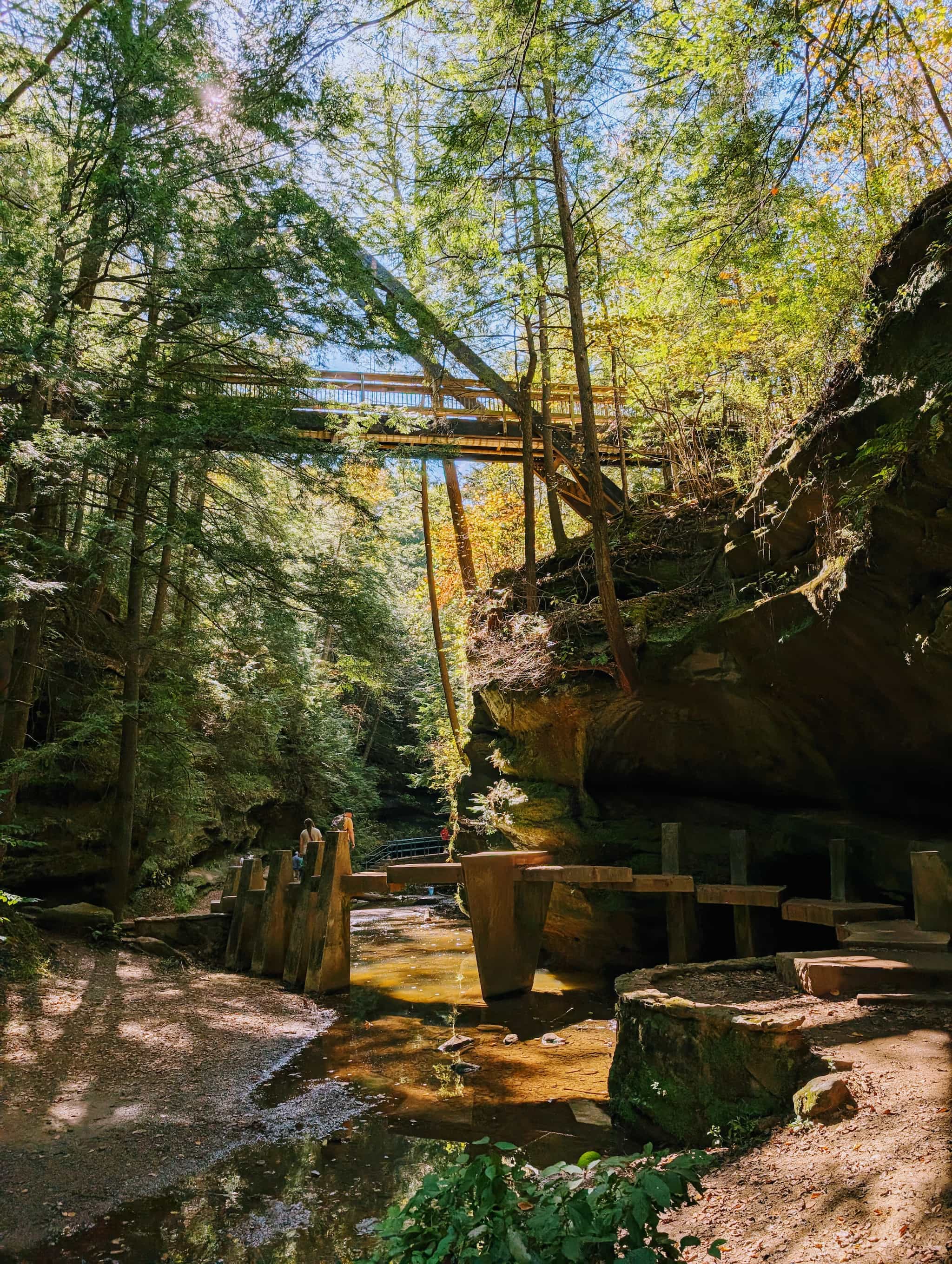 Light filtering through trees down to a small canyon with a stream and an artistic cement bridge on pillars as a longer bridge stretches above.
