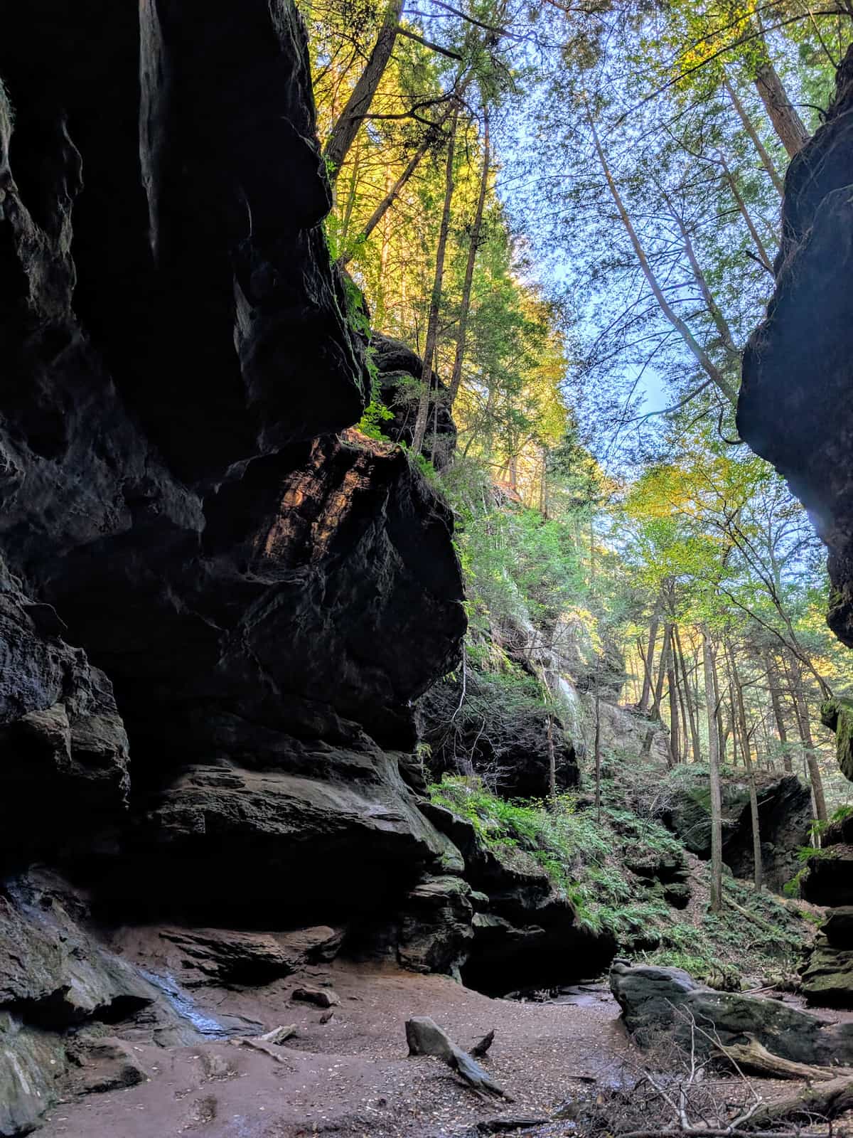 Two canyon walls topped with trees as light trickles through on a small section of the wall.