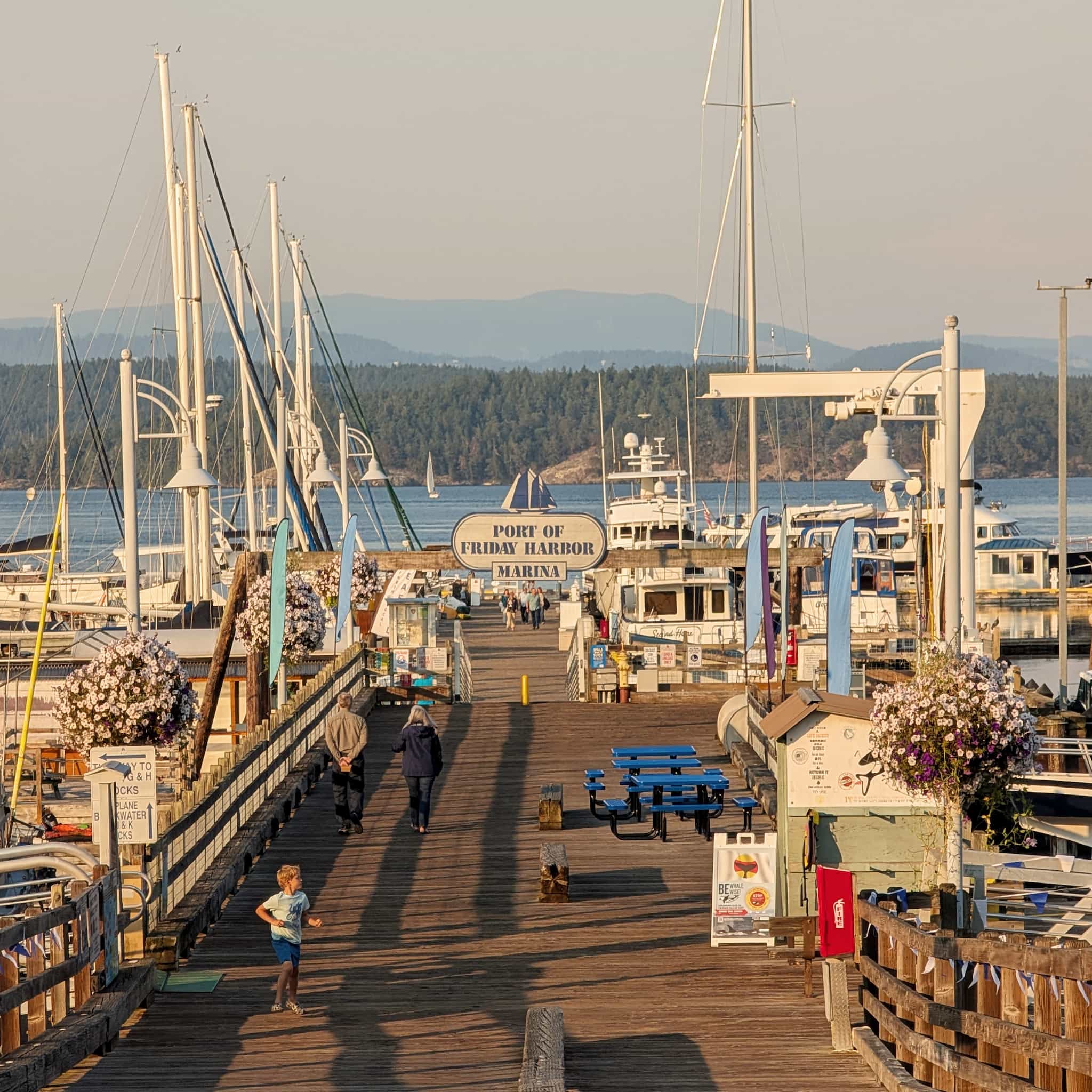Looking down a curved dock to a 'Port of Friday Harbor Marina' sign with boats, a child running, water, and hills visible.
