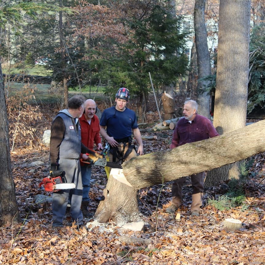 Four men talking around the base of a tree that was recently cut down.
