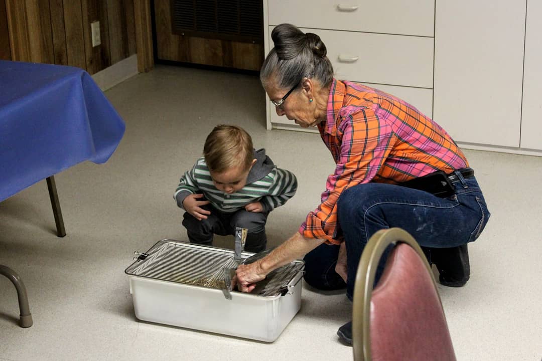 An older woman showing a young boy a rat cage.