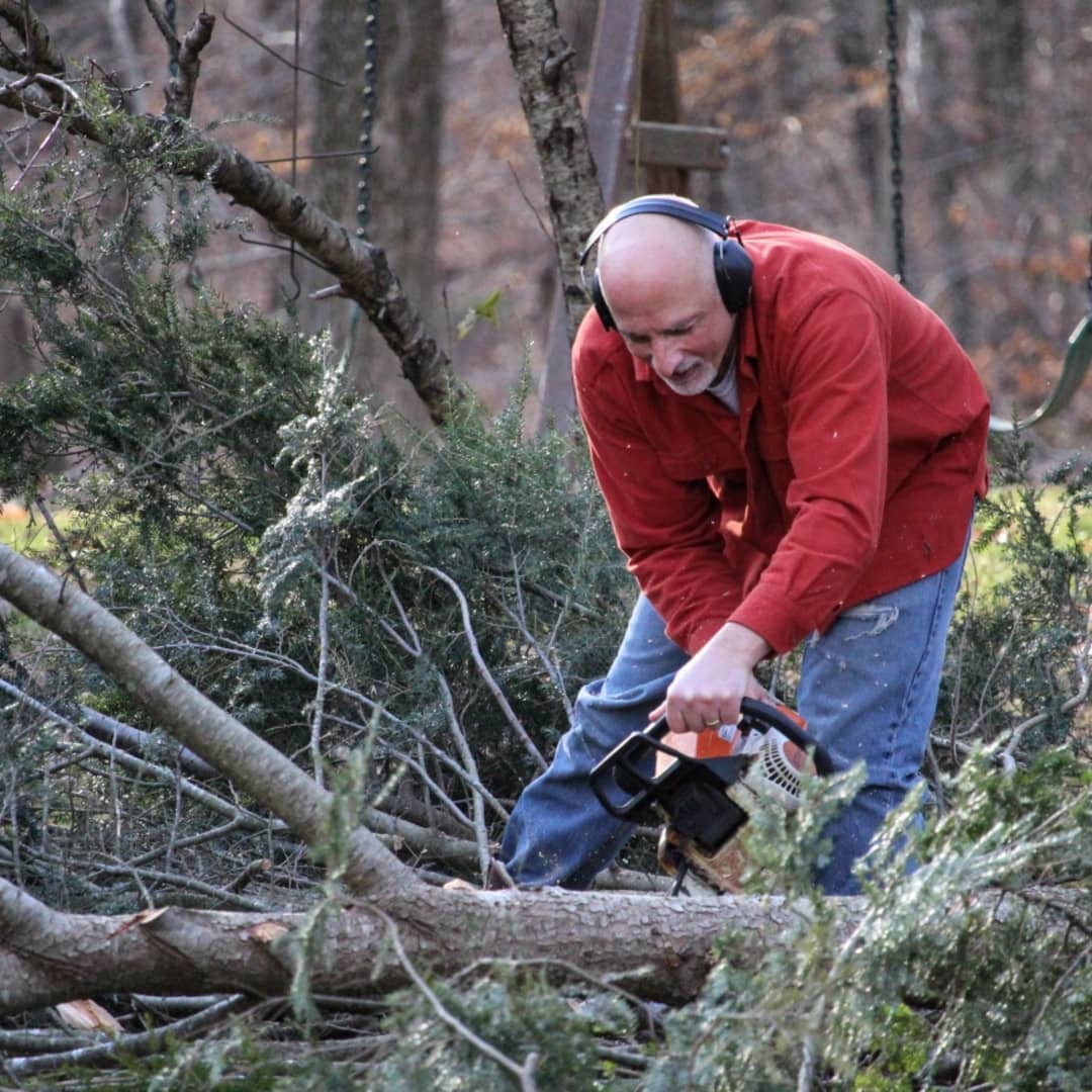 Bald man cutting up a downed tree with a chainsaw.