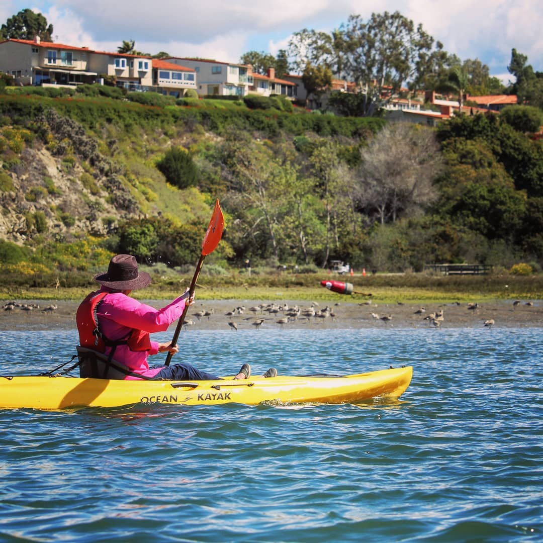 Person kayaking on a river with geese, houses, and hills behind.