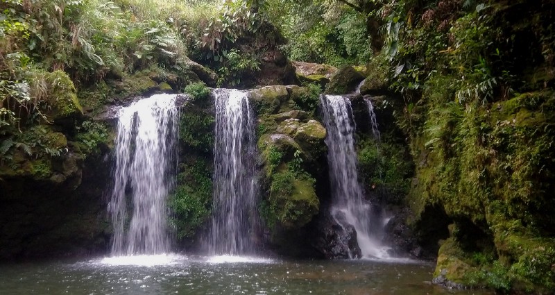 jungle scene with a short waterfall falling in three parts over a rocky ledge