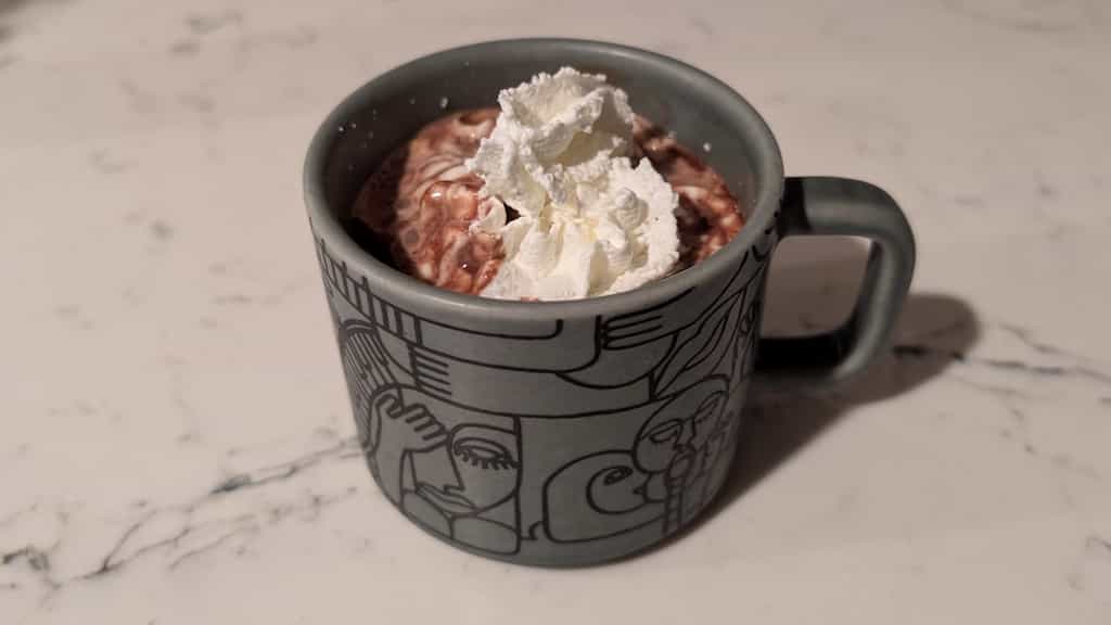 Gray mug with artwork containing hot chocolate which is mostly covered by whip cream.