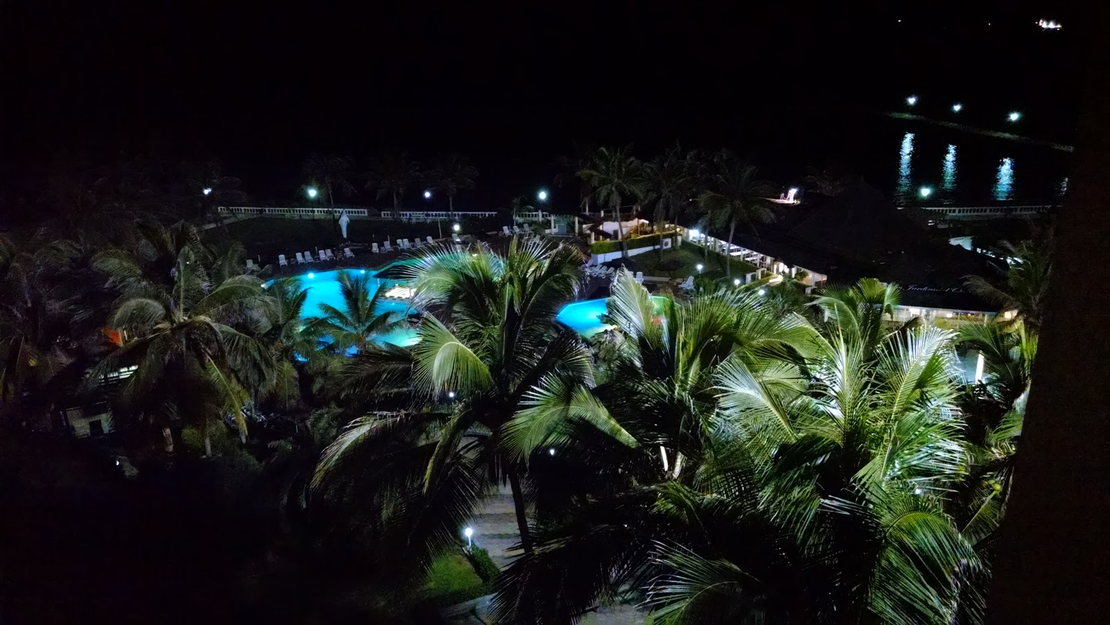 View of a pool surrounded by palm trees at night