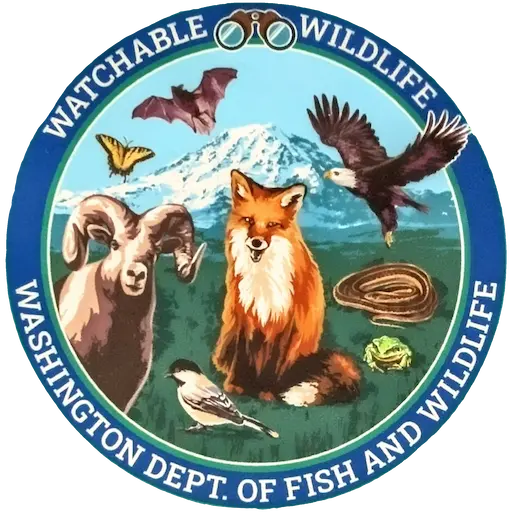 Circular sticker from the Washington Department of Fish and Wildlife that says 'Watchable Wildlife' that has animals like fox, bighorn sheep, bald eagle, chickadees, bats, butteflies, fogs, and snakes in front of a mountain