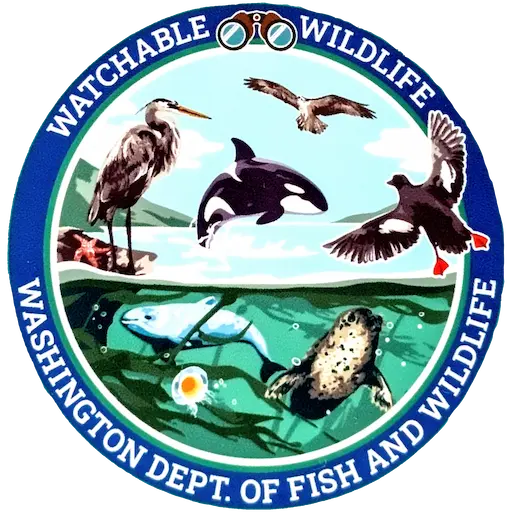 Circular sticker from the Washington Department of Fish and Wildlife that says 'Watchable Wildlife' that has animals like orca, seals, starfish, jellyfish, great blue herons, pigeon guillemot, and osprey